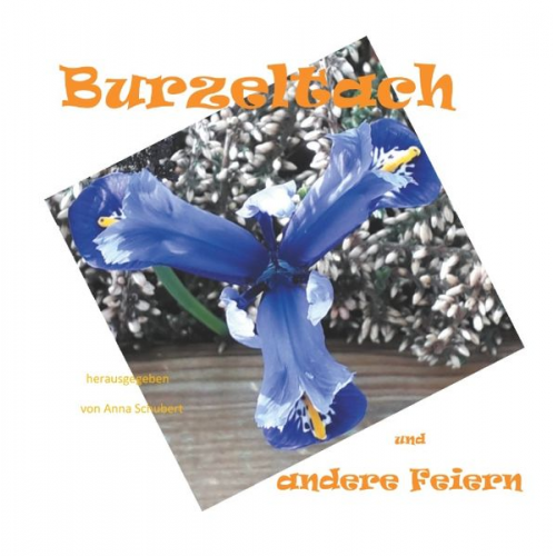Anna Schubert - Burzeltach und andere Feiern