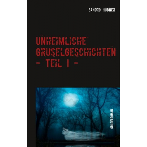 Sandro Hübner - Unheimliche Gruselgeschichten - Teil I -