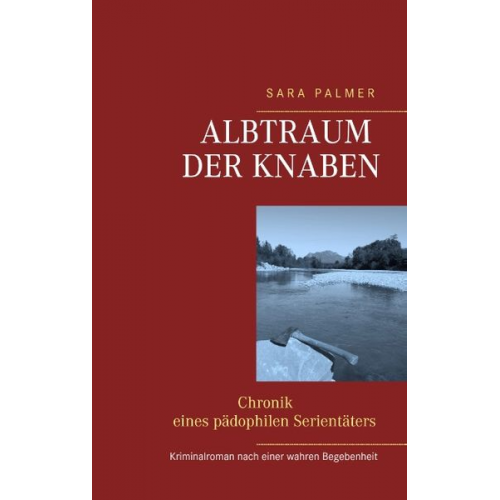 Sara Palmer - Albtraum der Knaben