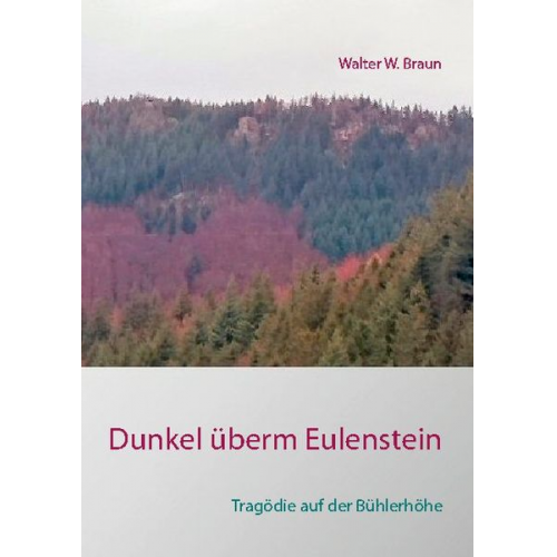 Walter W. Braun - Dunkel überm Eulenstein