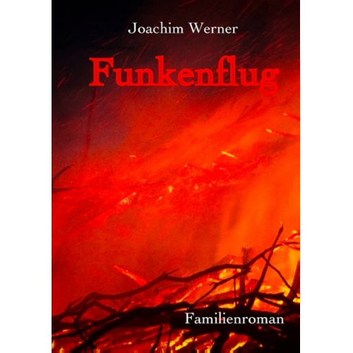 Joachim Werner - Funkenflug