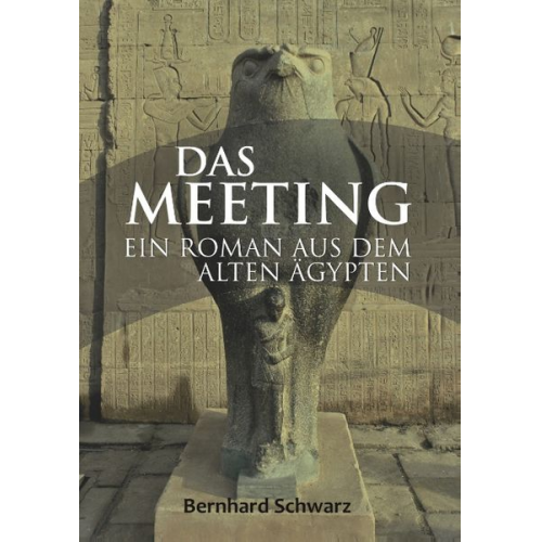 Bernhard Schwarz - Das Meeting