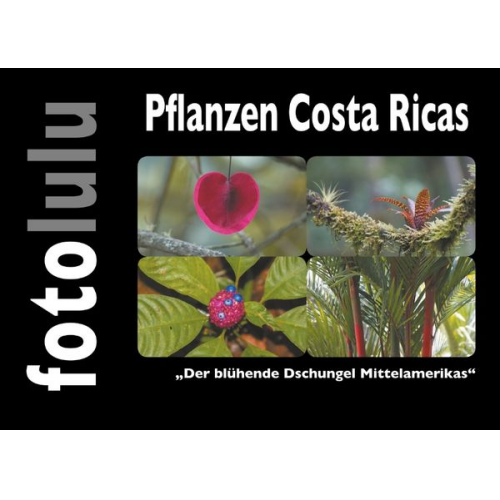 Fotolulu - Pflanzen Costa Ricas