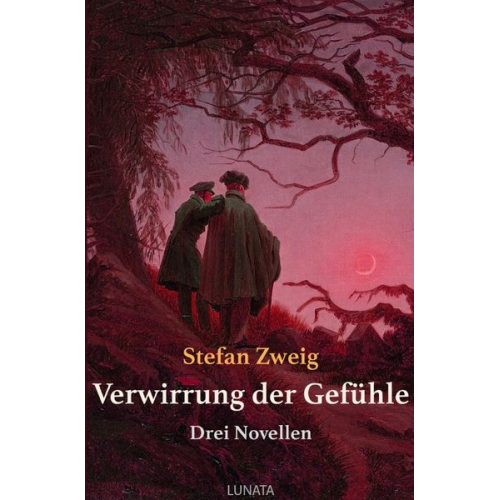 Stefan Zweig - Verwirrung der Gefühle