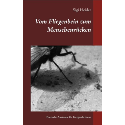 Sigi Heider - Vom Fliegenbein zum Menschenrücken