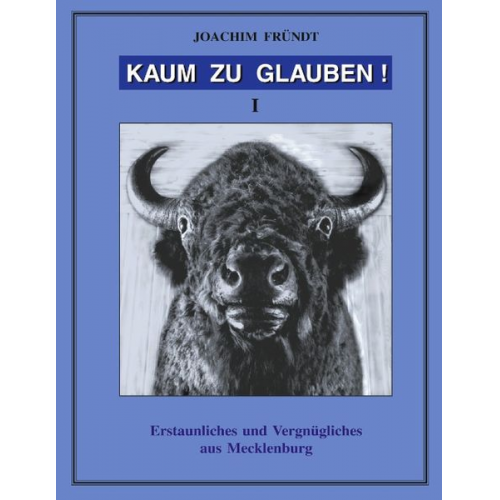 Joachim Fründt - Kaum zu Glauben!