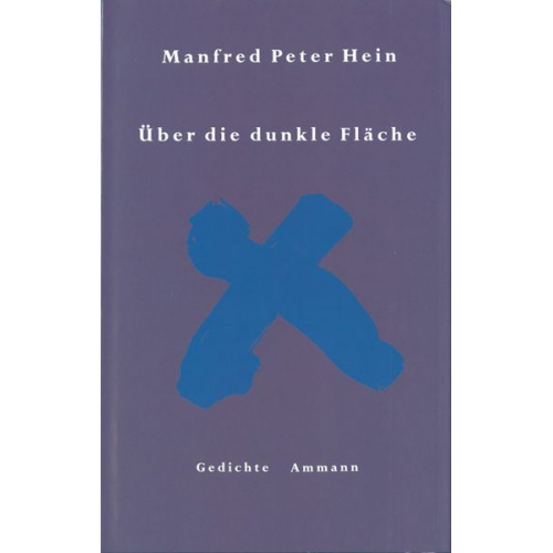 Manfred Peter Hein - Über die dunkle Fläche