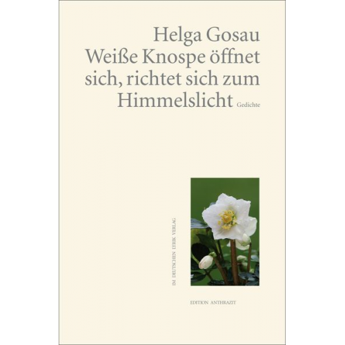 Helga Gosau - Weiße Knospe öffnet sich, richtet sich zum Himmelslicht