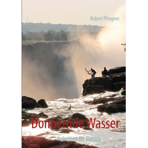 Robert Pfrogner - Donnernde Wasser