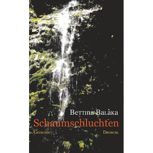 Bettina Balàka - Schaumschluchten