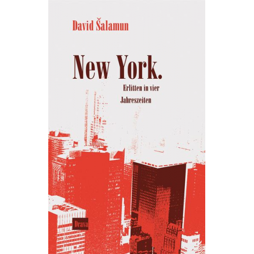 David Salamun - New York. Erlitten in vier Jahreszeiten