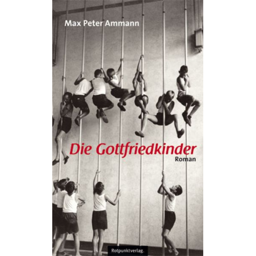 Max Peter Ammann - Die Gottfriedkinder