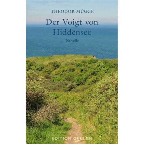 Theodor Mügge - Der Voigt von Hiddensee