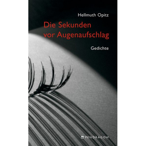 Hellmuth Opitz - Die Sekunden vor Augenaufschlag