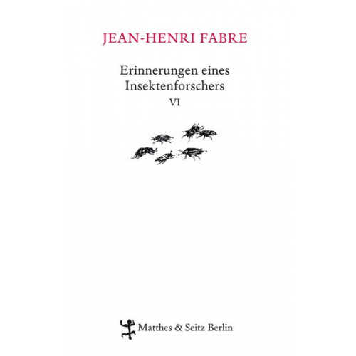 Jean-Henri Fabre - Erinnerungen eines Insektenforschers VI