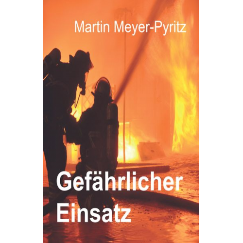 Martin Meyer-Pyritz - Gefährlicher Einsatz