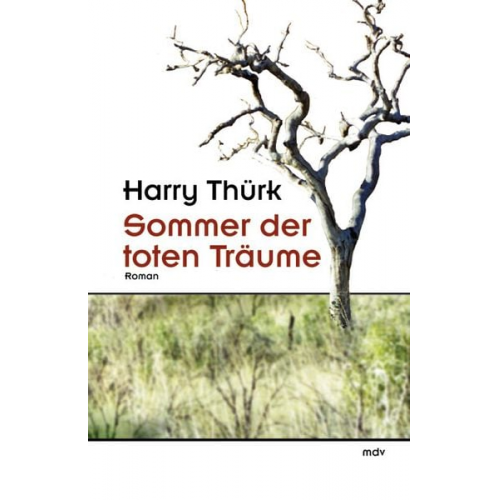 Harry Thürk - Sommer der toten Träume