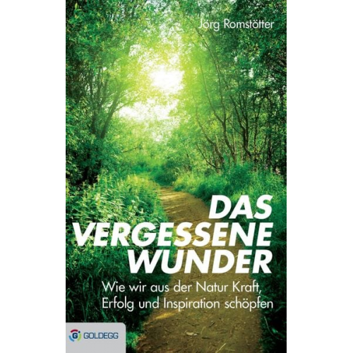 Jörg Romstötter - Das vergessene Wunder