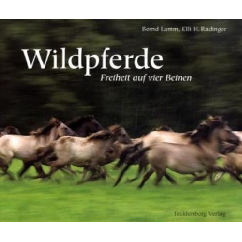 Bernd Lamm - Dülmener Wildpferde