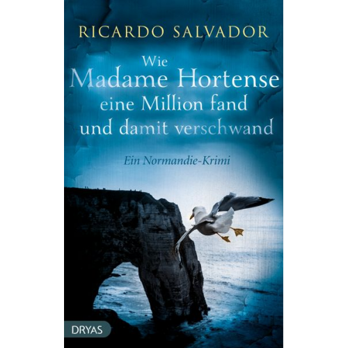 Ricardo Salvador - Wie Madame Hortense eine Million fand und damit verschwand