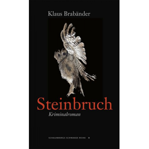 Klaus Brabänder - Steinbruch