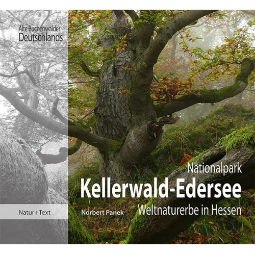 Norbert Panek - Nationalpark Kellerwald-Edersee