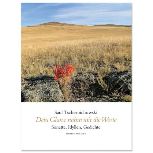 Saul Tschernichowski - Dein Glanz nahm mir die Worte