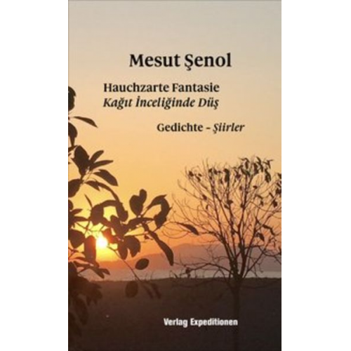 Mesut Şenol - Hauchzarte Fantasie - Kağıt İnceliğinde Düş