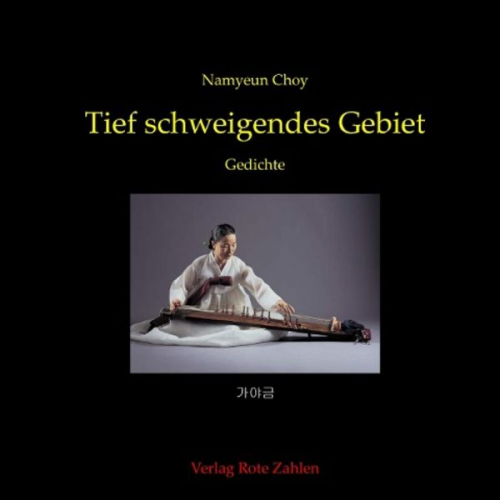 Namyeun Choy - Tief schweigendes Gebiet