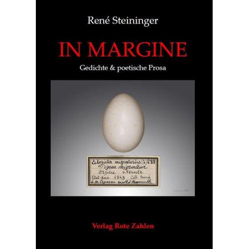 René Steininger - In Margine