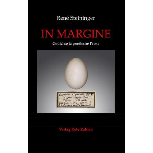 René Steininger - In Margine