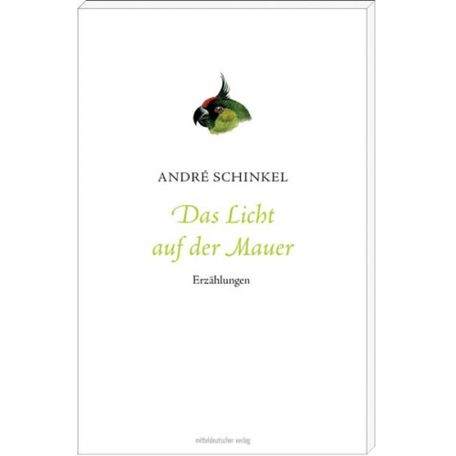 André Schinkel - Das Licht auf der Mauer