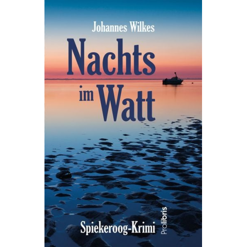 Johannes Wilkes - Nachts im Watt