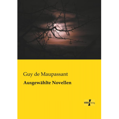 Guy de Maupassant - Ausgewählte Novellen