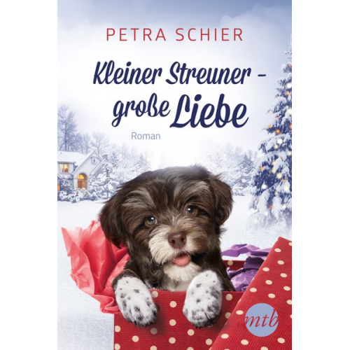 Petra Schier - Kleiner Streuner - große Liebe