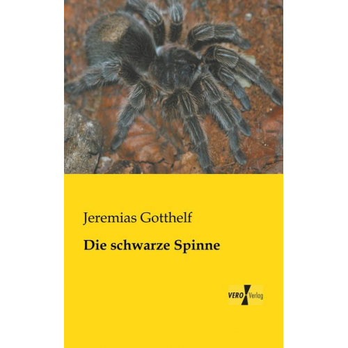 Jeremias Gotthelf - Die schwarze Spinne