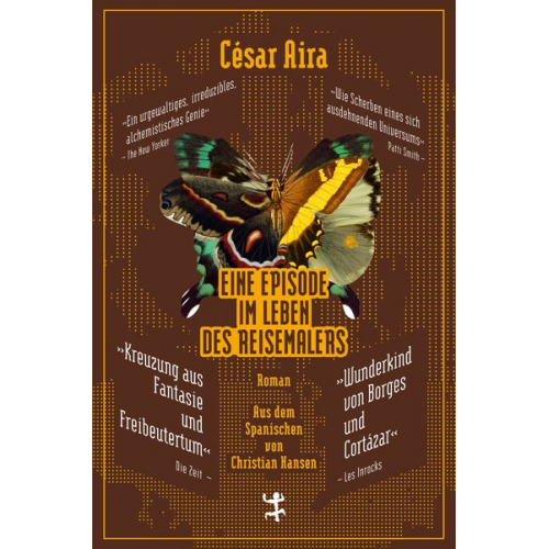 Cesar Aira - Eine Episode im Leben des Reisemalers