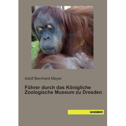 Adolf Bernhard Meyer - Führer durch das Königliche Zoologische Museum zu Dresden