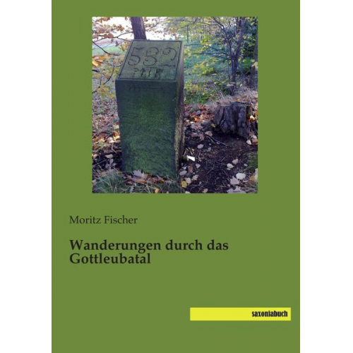 Moritz Fischer - Wanderungen durch das Gottleubatal