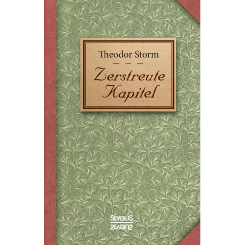 Theodor Storm - Zerstreute Kapitel
