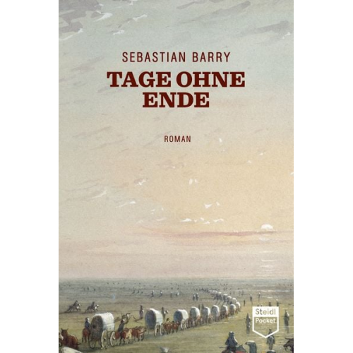 Sebastian Barry - Tage ohne Ende (Steidl Pocket)