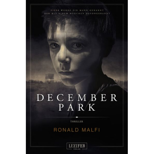 Ronald Malfi - December Park