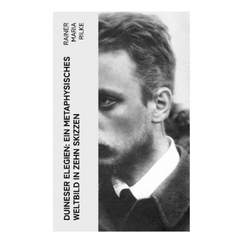 Rainer Maria Rilke - Duineser Elegien: Ein metaphysisches Weltbild in zehn Skizzen