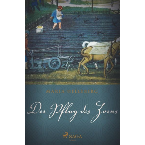 Maria Helleberg - Der Pflug des Zorns - Ein historischer Roman