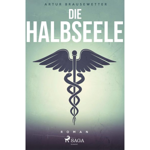 Artur Brausewetter - Die Halbseele