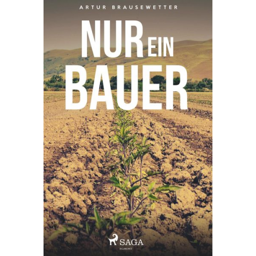 Artur Brausewetter - Nur ein Bauer