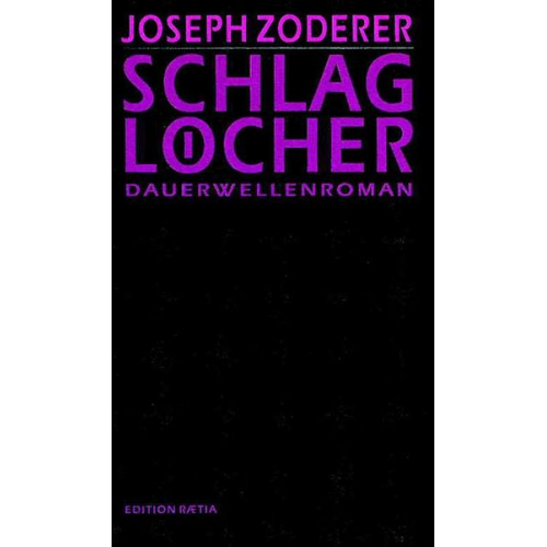 Joseph Zoderer - Schlaglöcher