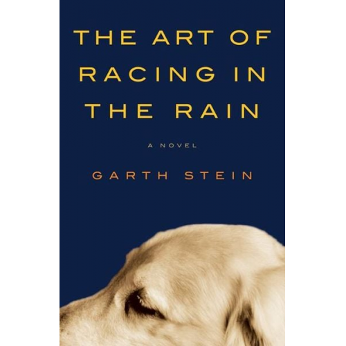 Garth Stein - Stein, G: Art of Racing in the Rain