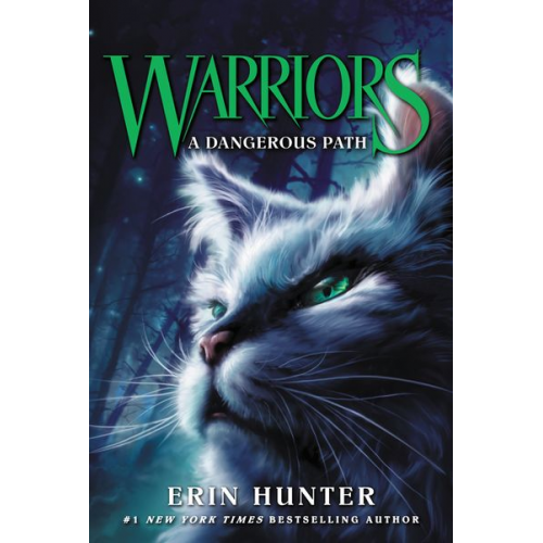 Erin Hunter - Warriors 05. A Dangerous Path