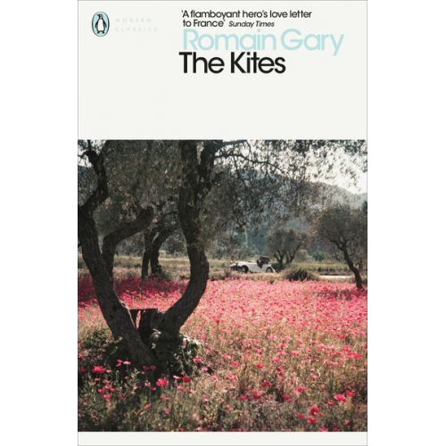 Romain Gary - The Kites